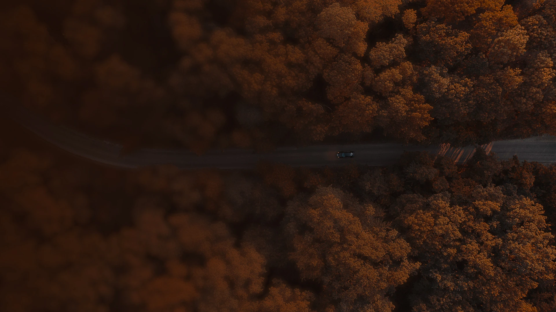 Aerial view of a single car on a road through a dense autumn forest, the road continuing past the frame, a metaphor for the operational system that makes AI tools actually deliver.